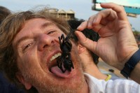 Ecco I cibi più strani di Expo!