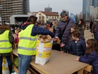 L’accusa: la semina di Expo pericolosa per i bambini