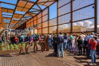 Quali padiglioni di Expo piacciono e quali no?