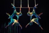 Dalla strada al Cirque du Soleil: storie di Expo
