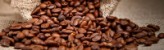 El Salvador ad Expo profuma di caffè