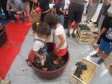 Expo ubriaca di vino i bambini? La polemica
