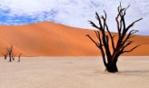 Tempeste di sabbia e oasi naturali nei padiglioni dedicati al deserto