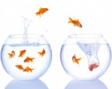 USA, il #Volontariato fa bene alla carriera